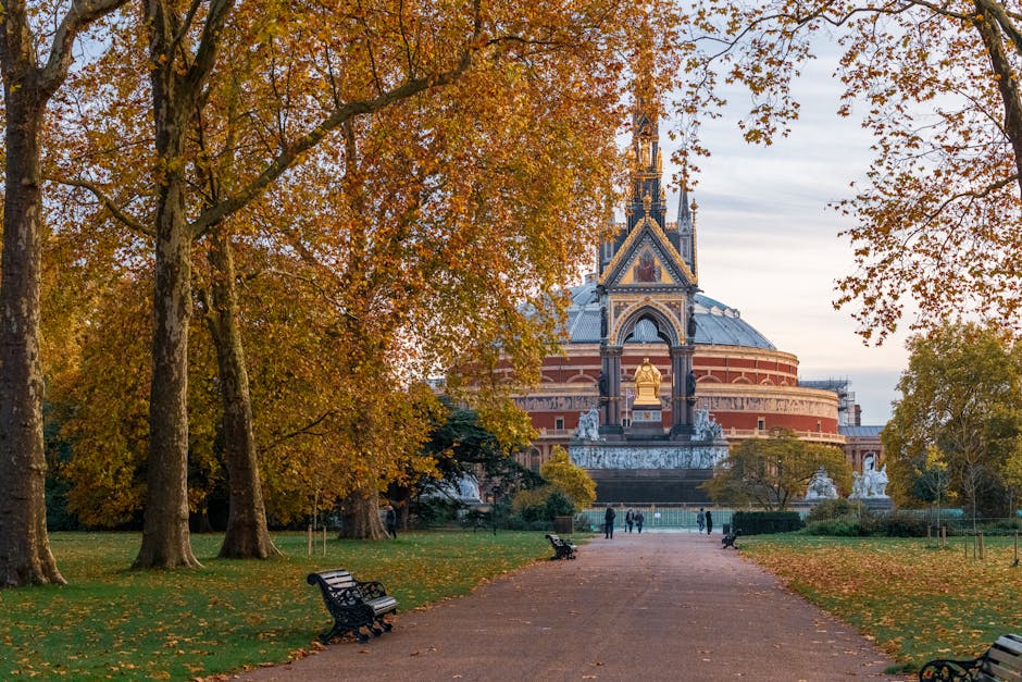 A wide paved pathway in a park leading towards a historic building with a large domed roof and detailed architectural features, framed by tall trees with autumnal orange and yellow leaves. The trees’ branches extend overhead, creating a canopy that partially obscures the sky, which is overcast with pale grey clouds. In the background, a group of people is visible walking near the building, which is surrounded by a green lawn and neatly trimmed shrubs. The foreground shows several park benches along the pathway, some empty, positioned on the grassy areas. The scene is illuminated by soft natural light, enhancing the warm tones of the foliage and the overall fall atmosphere. This setting, associated with outdoor spaces and public parks, aligns with the context of independent rubbish removal and on-site clearance services offered by House Clearance Haringey in Haringey.