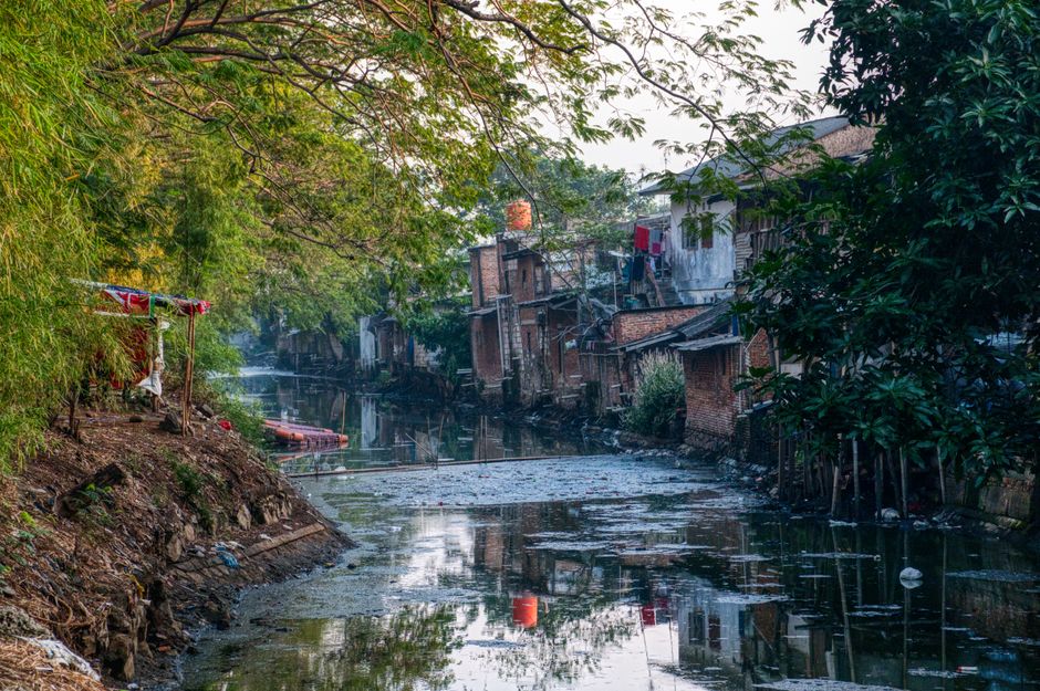 A narrow, polluted waterway lined with densely packed brick and wooden houses displaying various textures, with brickwork in shades of red and brown, some painted in faded white or grey. The houses have metal or tiled roofs, and laundry including a red shirt is hanging on a clothesline to the right, attached to the buildings. On the left, there is a muddy bank with patches of green vegetation and a small, makeshift shelter covered with red fabric. The water in the canal appears dark and stagnant, with floating debris and a thin film of oil or algae on the surface, reflecting the overhanging branches of a large leafy tree with green and purple-tinted leaves. The scene is bathed in soft, diffused daylight, emphasizing the gritty, urban environment that illustrates a lack of formal waste management, possibly reflecting an area experiencing challenges with rubbish disposal and independent waste handling. The overall atmosphere is one of neglect and environmental concern, with the casual presence of rubbish and debris indicating the need for rubbish removal services, as provided by companies like House Clearance Haringey.